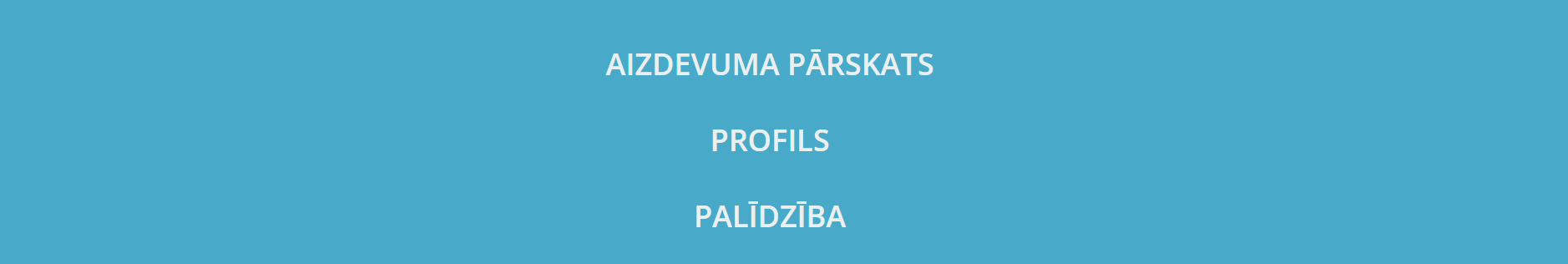 Profila sadaļa